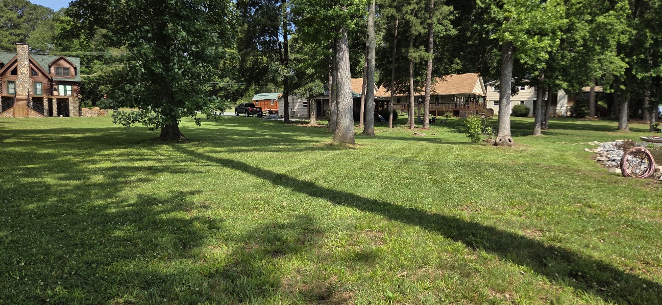 grass-1