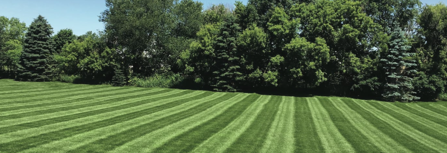 green lawn-1