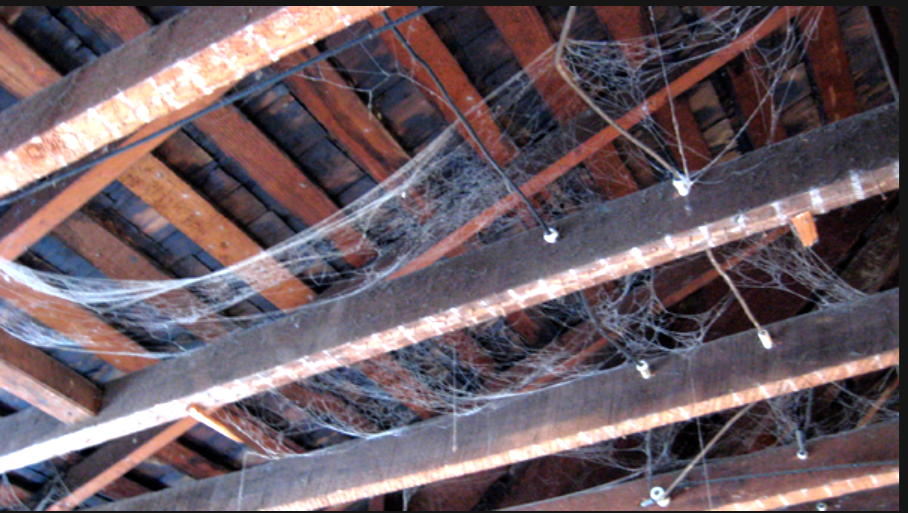ceiling