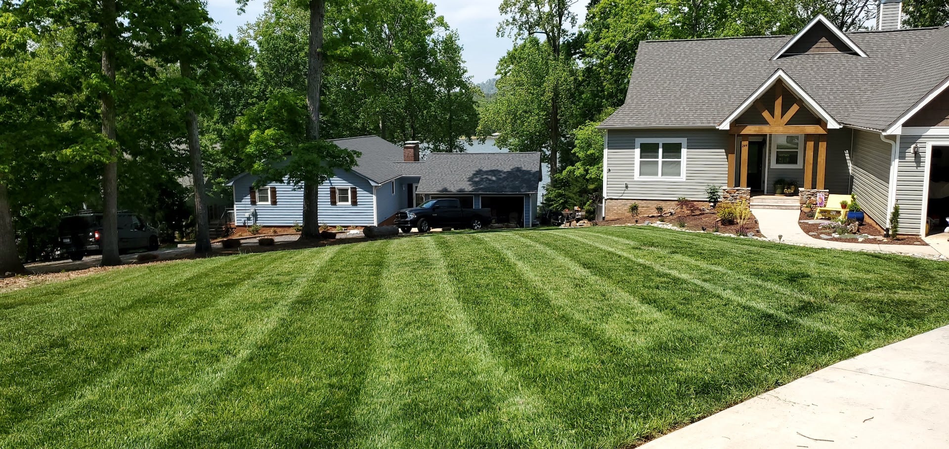 grass
